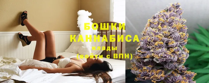 Конопля SATIVA & INDICA  Северская 